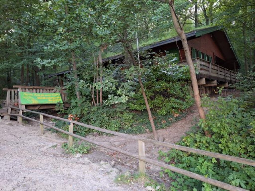 AWO Waldkindergarten Bergedorf Hausansicht von der Auffahrt.
